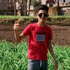 user4343139361628