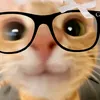 its_shayshayyyy