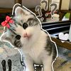 itsmebaby993