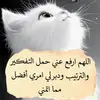 fgjdtt.ydftyy.tho