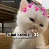 queen_mahnoor66