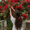 nour._alqamare