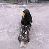 .my_fara