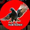 @pigeontreatments