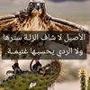 user5312661758881