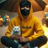 shahab.khan1371