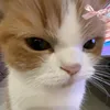 mizukyff0