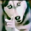 marionspamh