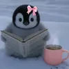 sazvin7