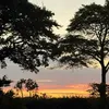hallie_wallie44