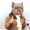 wildboy6712