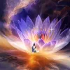 cho.anh.toi