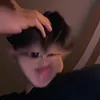 tr_bnam.07