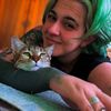 Furever Cats Gaza