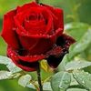 user8859780438552