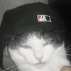 spoilkitty8