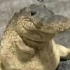 greg14291