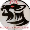 p3c_skw