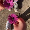 phoebe.lowen2