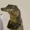 reialonzo