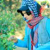 dc.wazir2