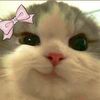 ann_ayy29