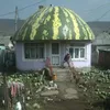 melonland8
