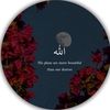 ali.writes733