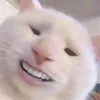 jkookie171