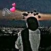 xidigda.barshinool