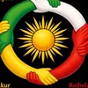 kurdi2234