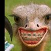 awadif0