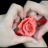 user77320632609856