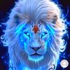 zain.bloch732