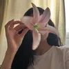 vni_20