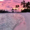 sunchine57
