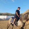 bassam.amoude