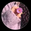 xjdj4281
