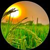 riyazriyaz3884