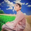 tahir.khan7347
