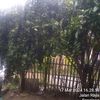 bangbung.hideng673