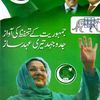 مسلم لیگ نون افیشل Official