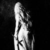 dusknightveil