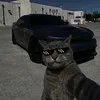 sasa_3.5
