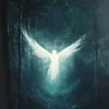 ojndkg