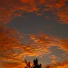 ana_lulu356