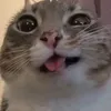 ilovepotatoes785