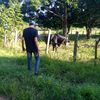 manueldz00