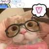 hann20610