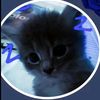 kat745460
